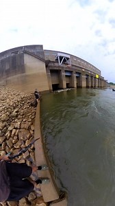 Little explanation of Force Feed’em, in the Bowfishing Capital!! #forcefeedem #bowfishing #fishing | Force Feed'em