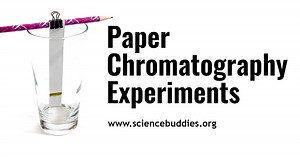 Paper Chromatography Science Projects & Experiments | Science Buddies Blog