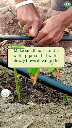 10 Essential Gardening Tips for Beginners