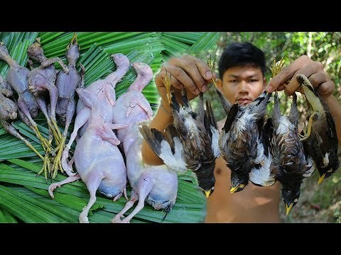 Primitive Technology Hunting and Cooking Wild Birds Recipe In the Forest