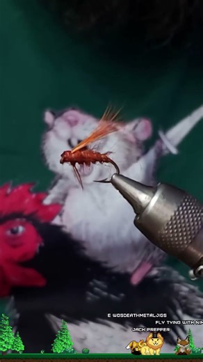 Dark Caddis Pupa. Fly Tying with Nimby! Patterns, Techniques and Materials to catch more Trout.