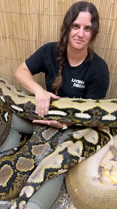 2.2M views · 5.7K reactions | SNAKE LAND 藍 These are all female...