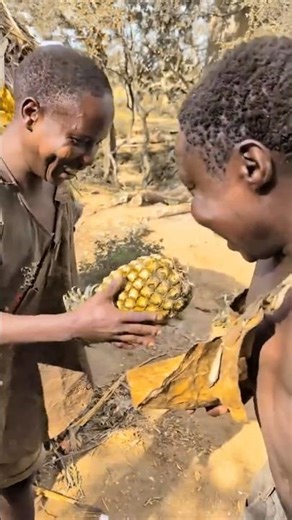 When the Hadza saw a pineapple for the first time#usa #africa #comedy #indonesia #brasil #uniteds