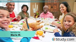 Glycogenolysis | Pathway, Process & Purpose