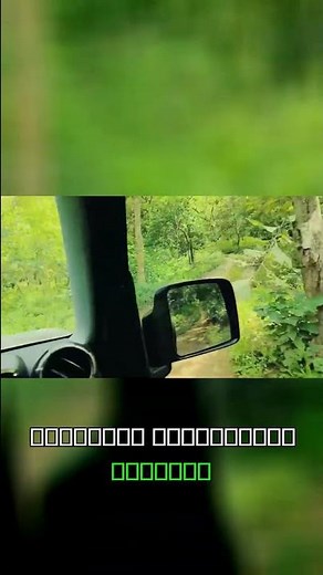 Epic 4x4 Off-Roading Adventure in the Woods!