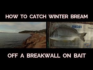 How to catch winter BREAM on BAIT off a BREAKWALL