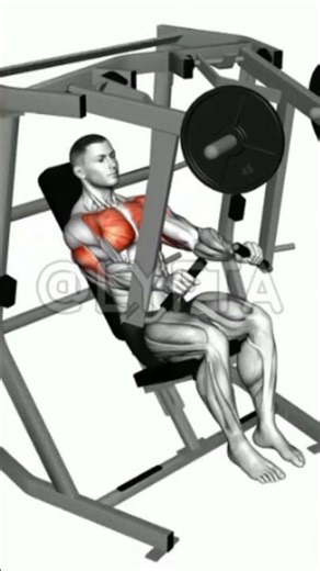 decline chest press machine