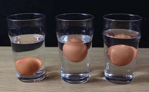 Egg Float Test: Tell if Your 'Expired' Eggs Are Still Good to Eat