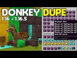 How to Duplicate ANY ITEM in Minecraft 1.16.5 (Multiplayer)