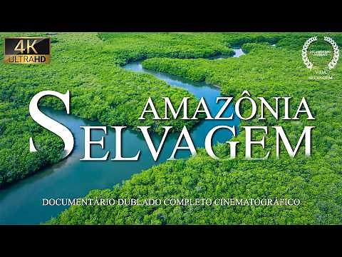 Wild Amazon: Amazing Rainforest Secrets