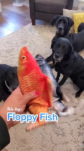 Fun Floppy Fish Dog Toy Review