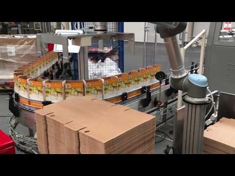 Case Handling Collaborative robot