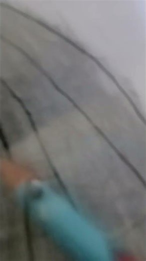 anime dragon Pro drawing