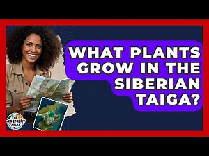 What Plants Grow In The Siberian Taiga? - The Geography Atlas