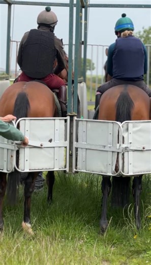 101K views · 3K reactions | ⭐️STALLS TRAINING ⭐️ Watch 3rd lot from warming up to giving Rocky GB his final piece of stalls training before his debut tomorrow at Doncaster  | Philip Kirby Racing | Facebook