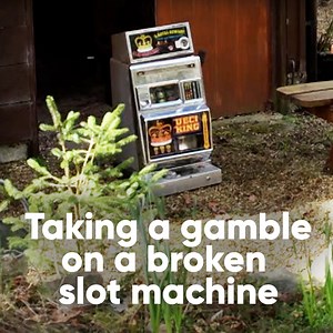 8.3K views · 46 reactions | This slot machine is a risky one  | Quest | Facebook