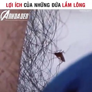 2.5M views · 588 reactions | 홼횎횖횎횜 횃횘획횊횢 on Reels | Facebook