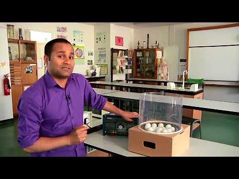 Brownian motion demonstration