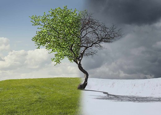 What Physically Happens to Your Body Right After Death