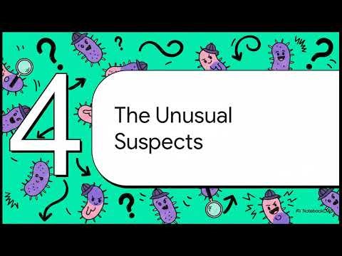 Medical Laboratory Basics: A Detectives Guide to Bacteria