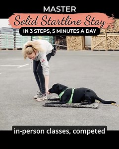 111 reactions · 22 comments |  Imagine this: You and your dog, all...