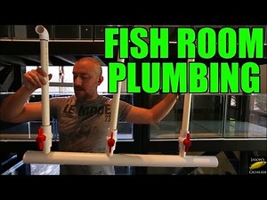 Plumbing a Fish Room