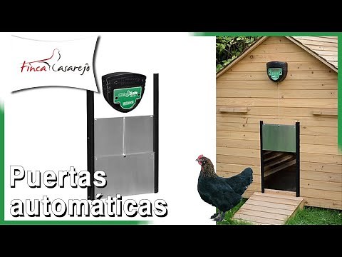 Puertas automáticas para gallineros - ChickSafe 🦊