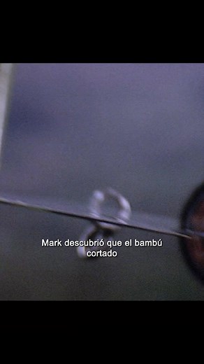 LAS 36 CÁMARAS DEL SHAOLIN 🤯🎥😰 #reelschallengereelschallenge #reelsviralシ #viralreelschallenge #destacar #Todos #ResumenDePeliculas #videoviralシviralシ2025 #TeLoCuento #todosseguidores #StarsEverywhere @destacar | Gael Pérez