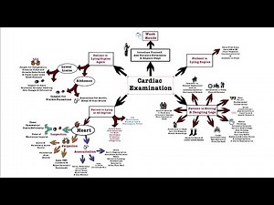 Cardiac Examination - OSCE