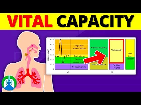 Vital Capacity (VC) | Medical Explainer Video