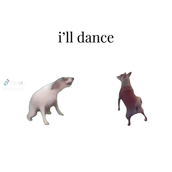 If You Dance I Dance #Meme - Funny Video with Dog and Cat