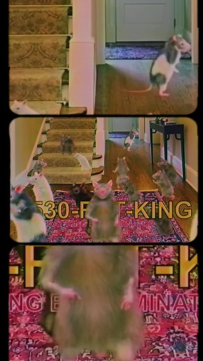 Synergy Music Video by Dance Gavin Dance