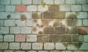 This Morning: David Domoney gives advice on cleaning your patio