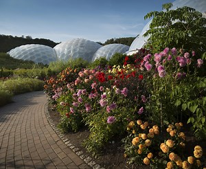 Outdoor Gardens