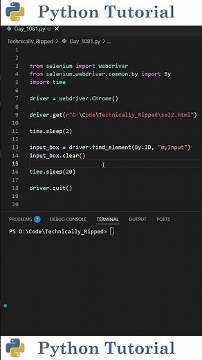 Clear Input Fields in Selenium Fast | Python Tutorial
