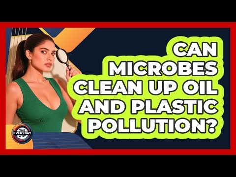 Can Microbes Clean Up Oil And Plastic Pollution? - The Everyday Why