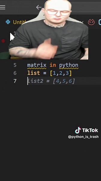 PYTHON BIMMBIMBAMBAM на TikTok