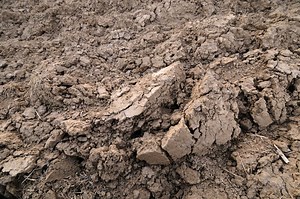 How to Make Loamy Soil