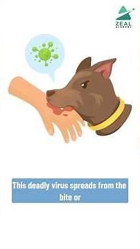 Rabies Virus Simplified | Key OPRA Clinical Concepts 🦠📚