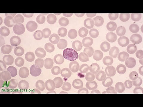 What Does a Low White Blood Cell Count Mean?