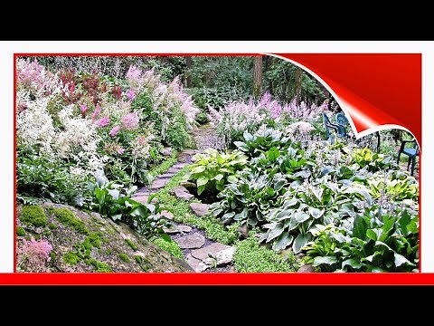 12 Hillside Landscaping Ideas To Maximize Your Yard 🧧