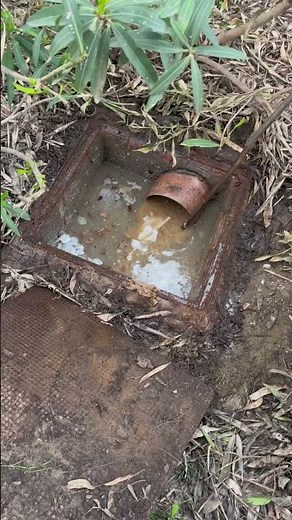 How to Clear Clogged Drains