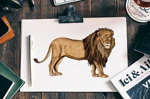 How to Draw a Lion - A Fun and Ferocious Lion Drawing Tutorial