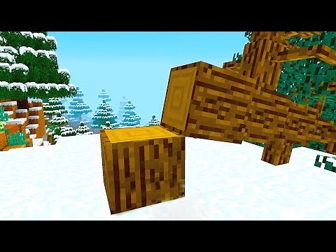 MINECRAFT IN REAL LIFE! 😲🤣 | Mods