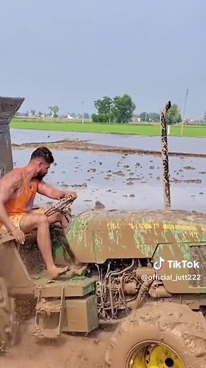 Life on the Farm: Struggles and Triumphs in Agriculture