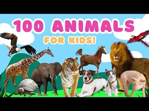 100 Fun Animals to Learn! 🐢 For Toddlers & Kids | English Vocabulary