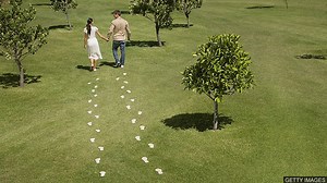 單字 through 的四個常見用法