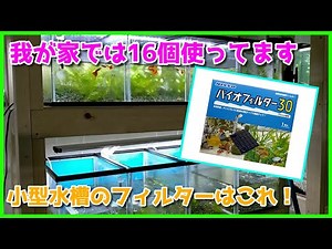【バイオフィルター】底面フィルターは小型水槽にオススメ！ほぼノーコストで水質安定【アクアリウム】