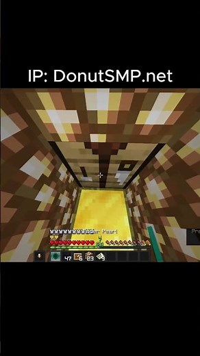 How to Trap on Donut SMP #schematics #minecraft #pumpkinfarm #gaming #tutorial #donutsmp