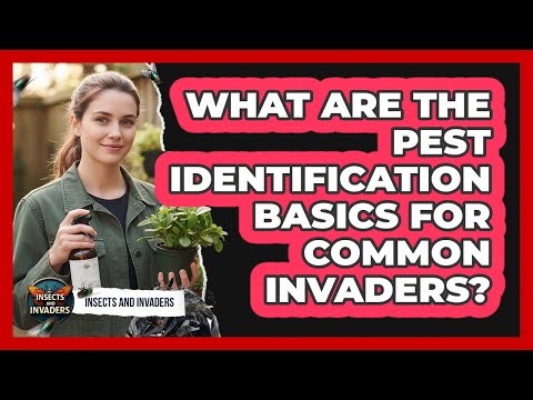 What Are The Pest Identification Basics For Common Invaders? - Insects and Invaders